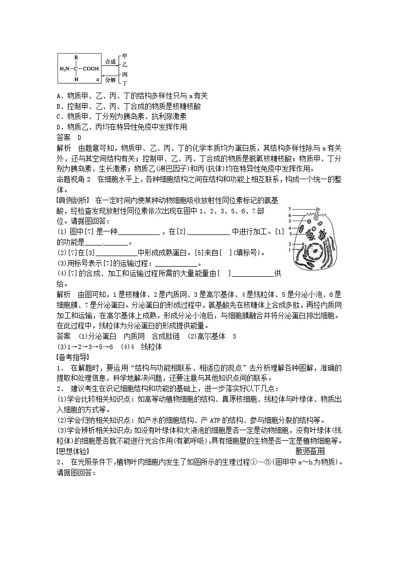 高三生物（人教版通用）一轮复习教案--- 第1讲 普遍联系的思想02