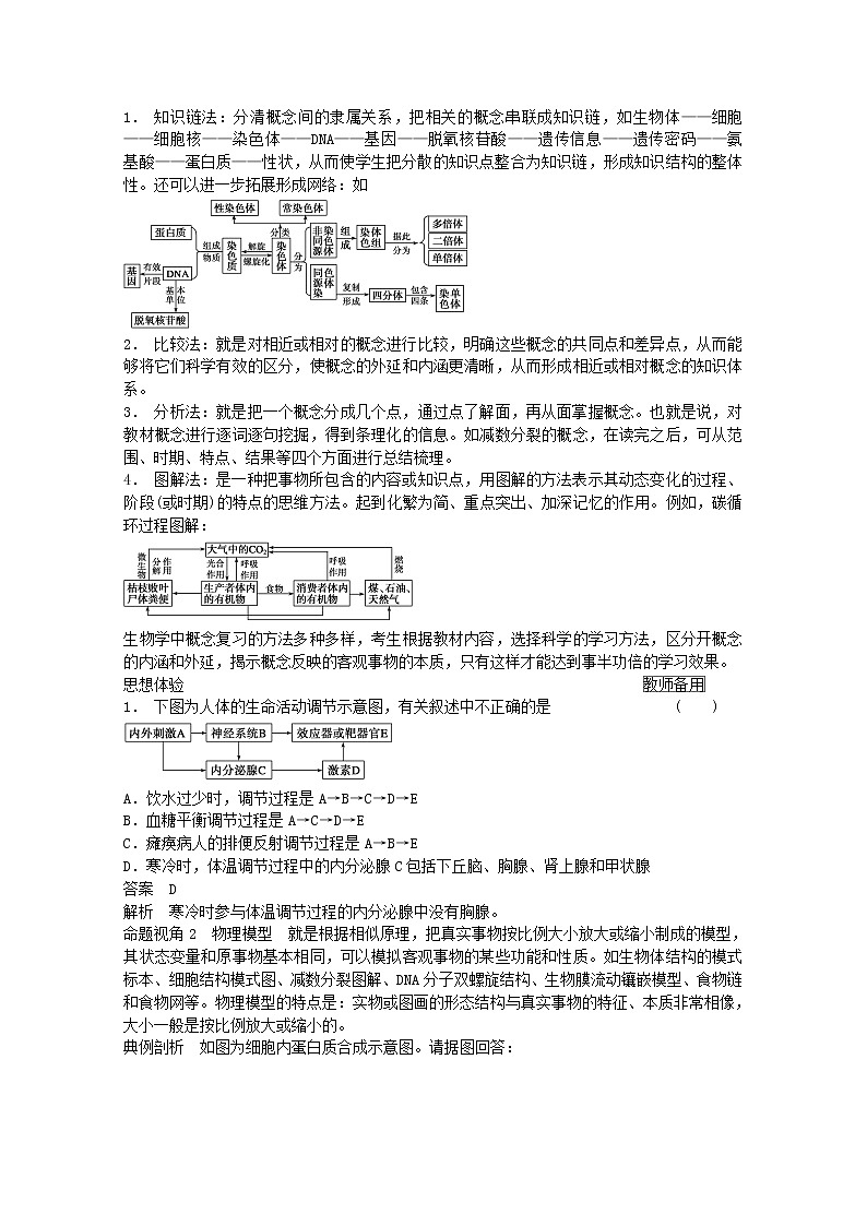 高三生物（人教版通用）一轮复习教案--- 第3讲 抽象问题具体化的思想02