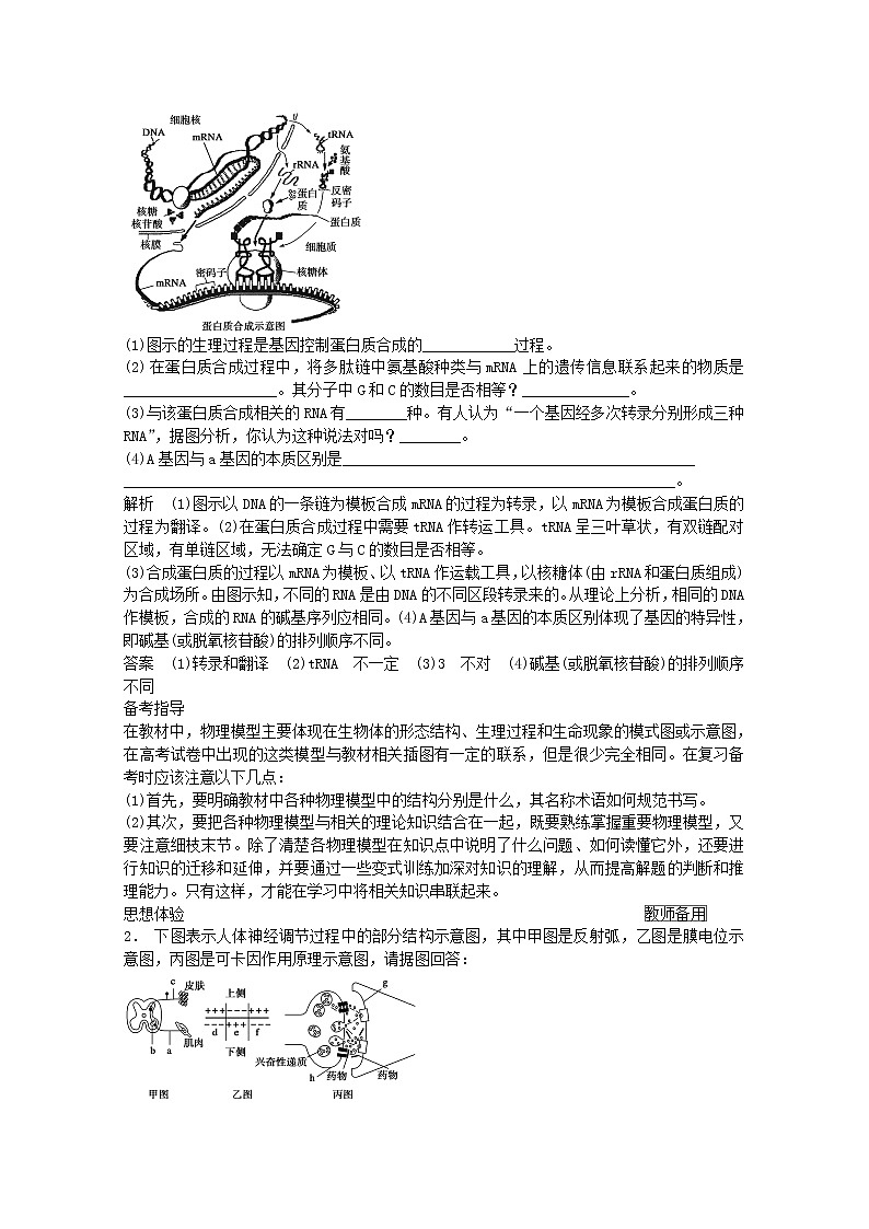 高三生物（人教版通用）一轮复习教案--- 第3讲 抽象问题具体化的思想03