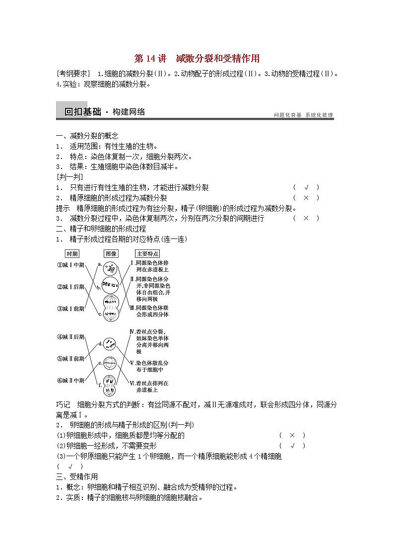 高三生物（人教版通用）一轮复习教案--- 第14讲 减数分裂和受精作用第1页