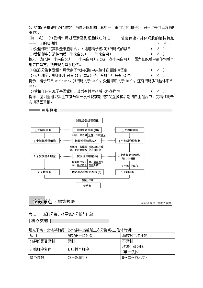 高三生物（人教版通用）一轮复习教案--- 第14讲 减数分裂和受精作用第2页