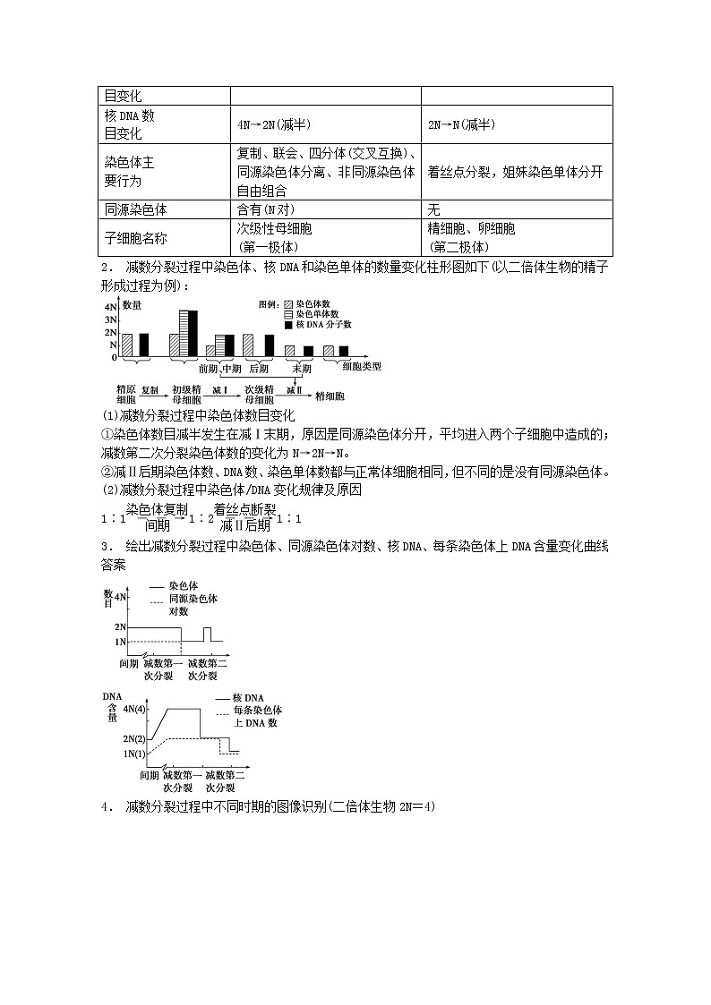 高三生物（人教版通用）一轮复习教案--- 第14讲 减数分裂和受精作用第3页