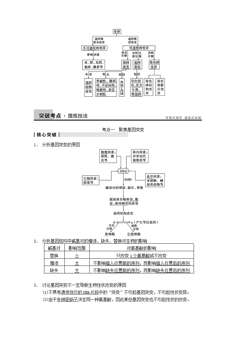 高三生物（人教版通用）一轮复习教案--- 第21讲 基因突变和基因重组03