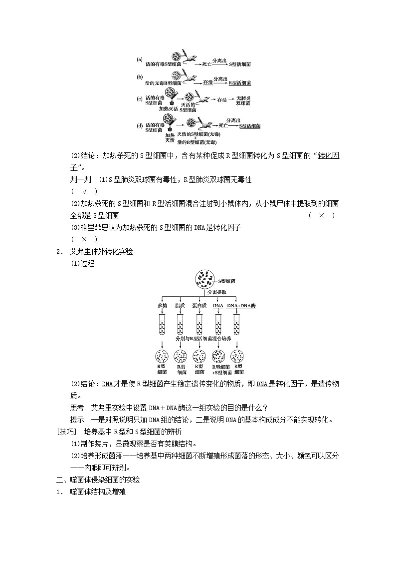 高三生物（人教版通用）一轮复习教案--- 第18讲 DNA是主要的遗传物质第2页