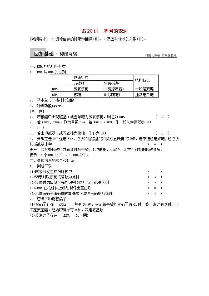 高三生物（人教版通用）一轮复习教案--- 第20讲 基因的表达01