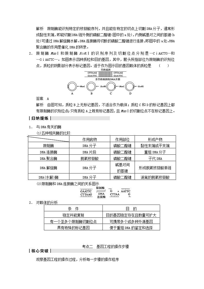 高三生物（人教版通用）一轮复习教案--- 第37讲 基因工程03