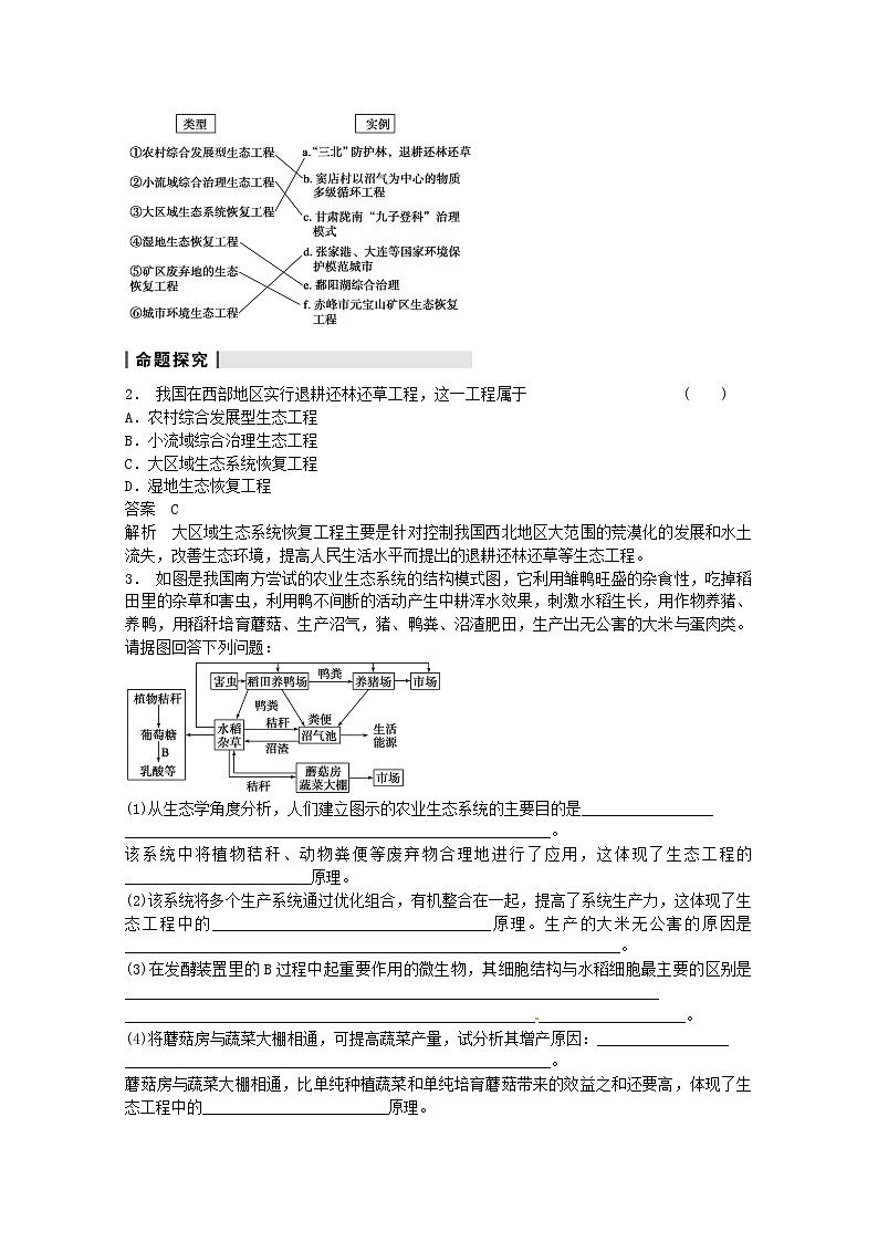 高三生物（人教版通用）一轮复习教案--- 第41讲 生态工程03