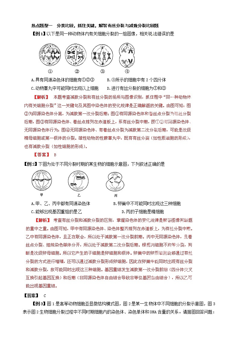 高考生物复习夺标学案：专题06 遗传的细胞基础第2页