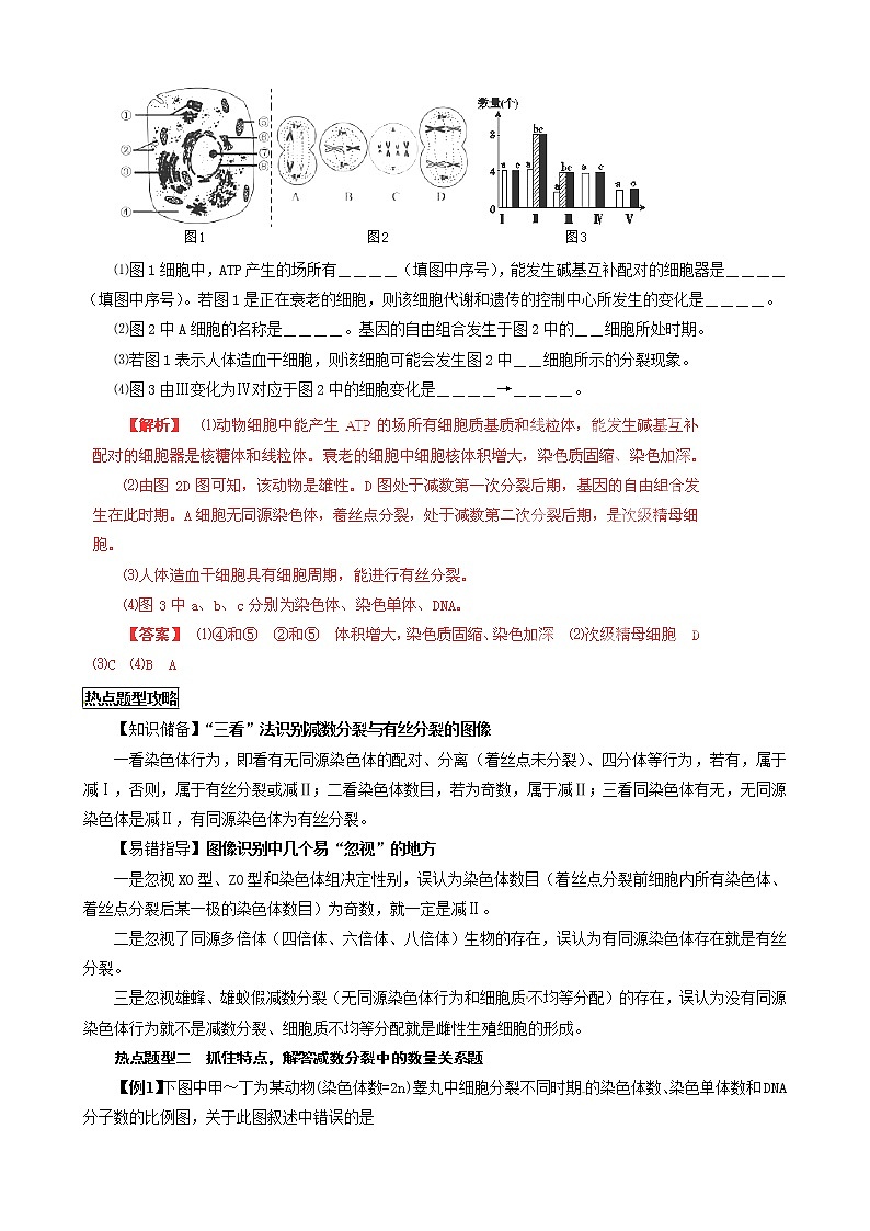 高考生物复习夺标学案：专题06 遗传的细胞基础第3页