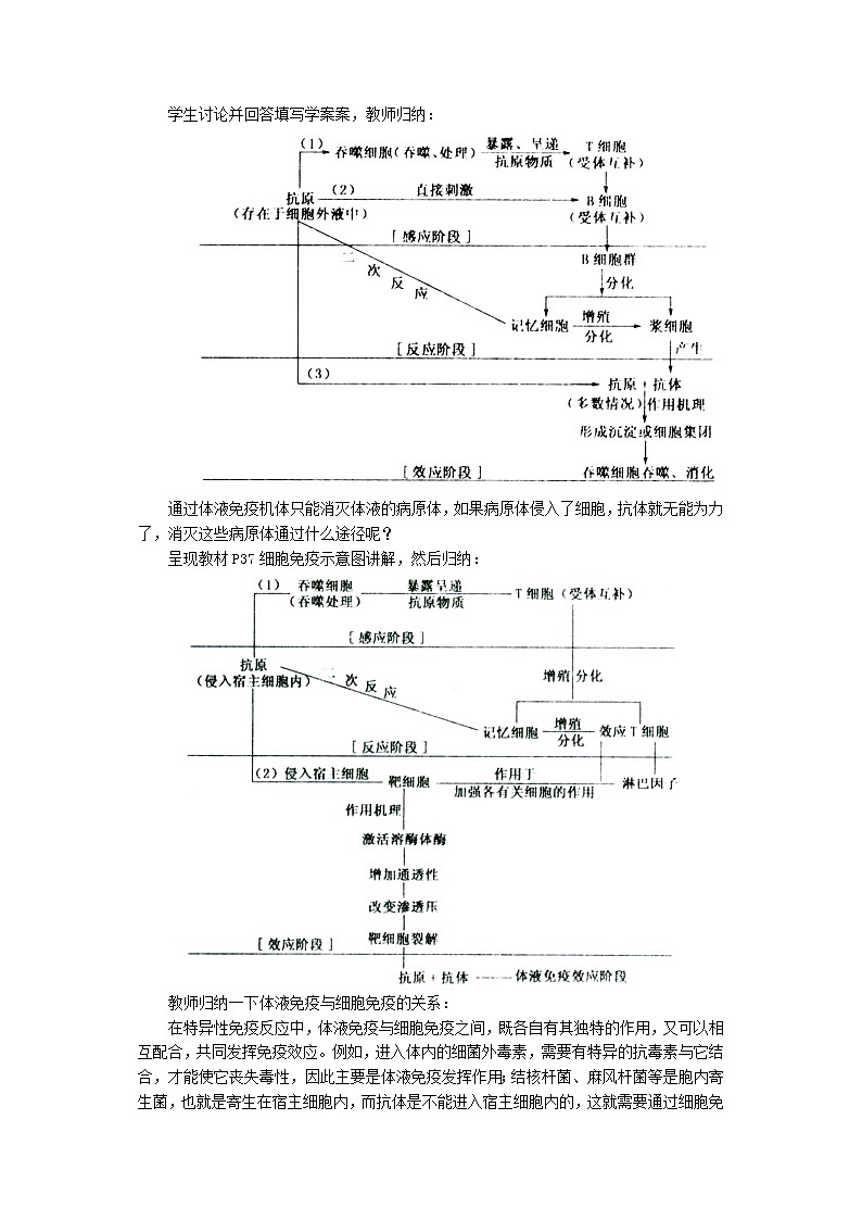 高中生物《2.4 免疫调节》教学设计 新人教版必修303