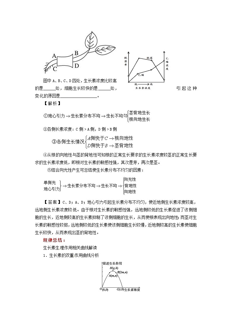 高中生物《3.2 生长素的生理作用现》同步练习（含解析） 新人教版必修302
