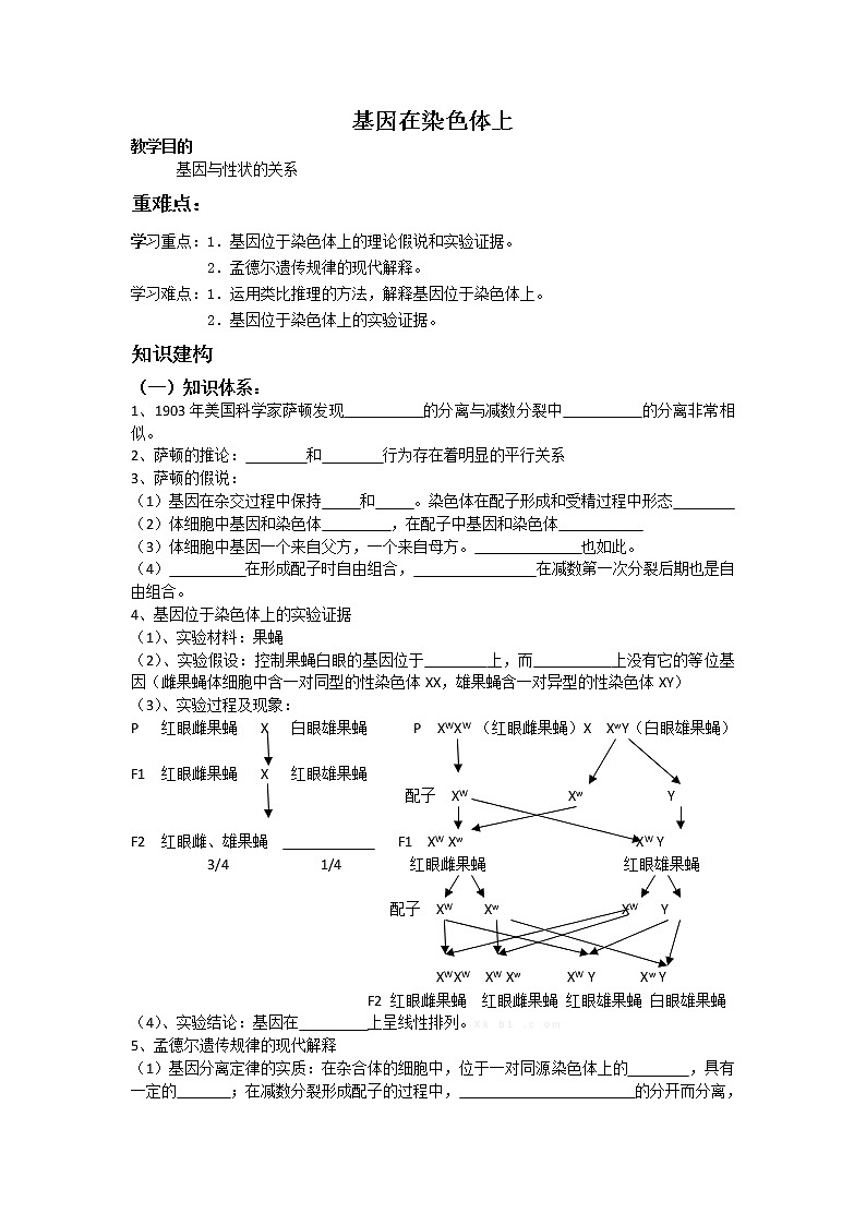 人教高中生物必修2导学案：第二章第2节 基因在染色体上01