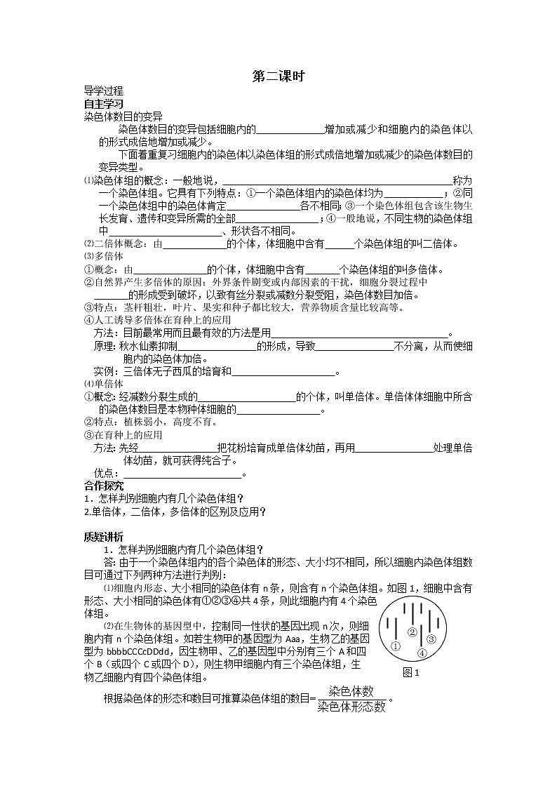 人教高中生物必修2导学案：第五章第二节 染色体变异第2课时01