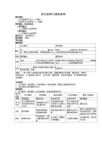 高中生物人教版 (新课标)必修2《遗传与进化》第1节 杂交育种与诱变育种学案