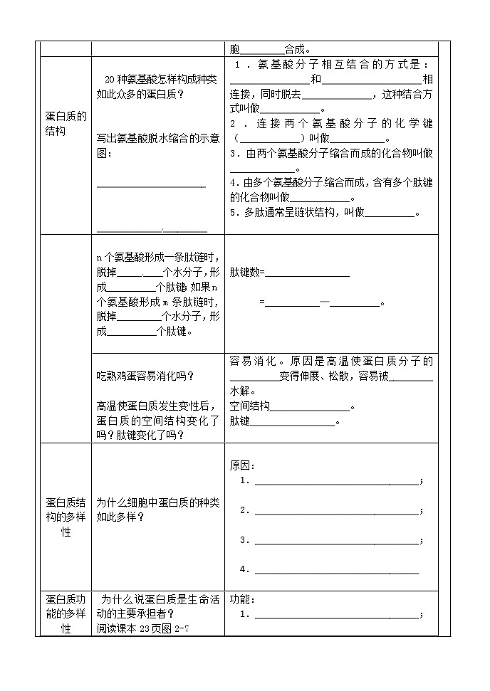 人教版高中生物必修1 第2章3节 生命活动的主要承担者——蛋白质（一）学案02