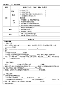 高中生物人教版 (新课标)必修1《分子与细胞》第2节 细胞的分化学案及答案