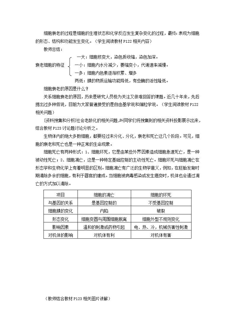 6.3《细胞的衰老和凋亡》教案（新人教版必修1）02