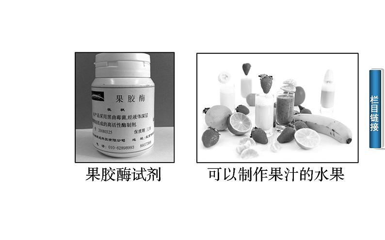 高中生物选修1课件：4.1果胶酶在果汁生产中的作用(共40张PPT）03