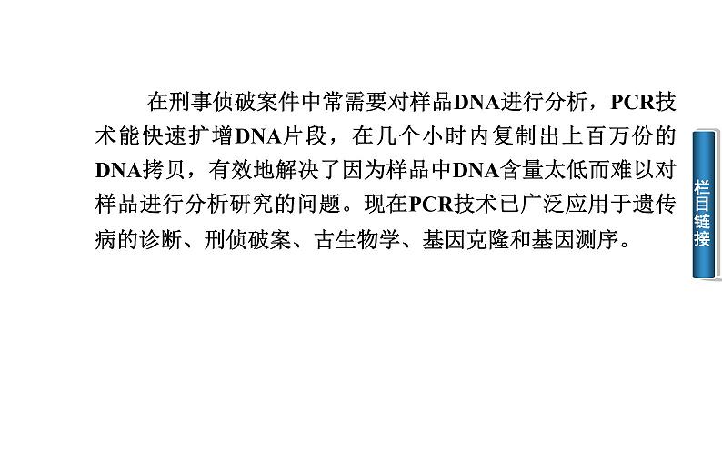 高中生物选修1课件：5.2多聚酶链式反应扩增DNA片段（共35张PPT）04