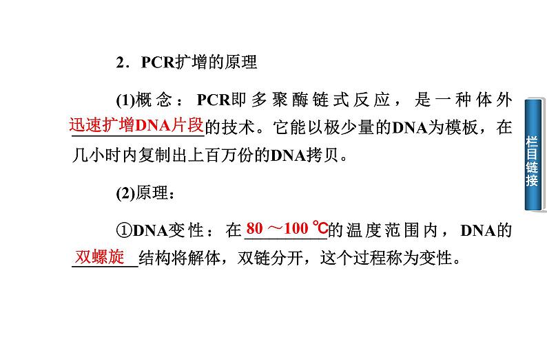 高中生物选修1课件：5.2多聚酶链式反应扩增DNA片段（共35张PPT）08