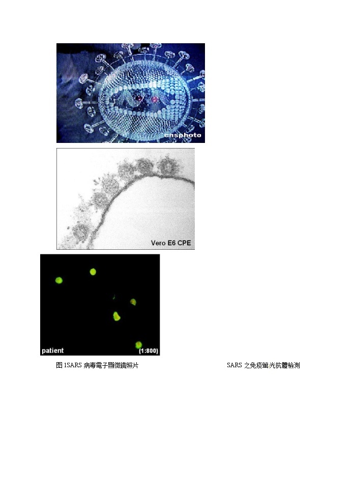 人教高中生物必修1教案： 1.1　从生物圈到细胞　202