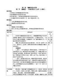 人教版 (新课标)必修1《分子与细胞》第2节 细胞器──系统内的分工合作教案