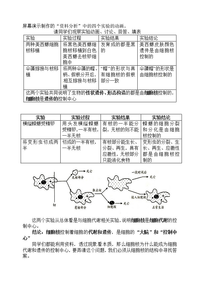 人教高中生物必修1教案： 3.3 细胞核——系统的控制中心 202