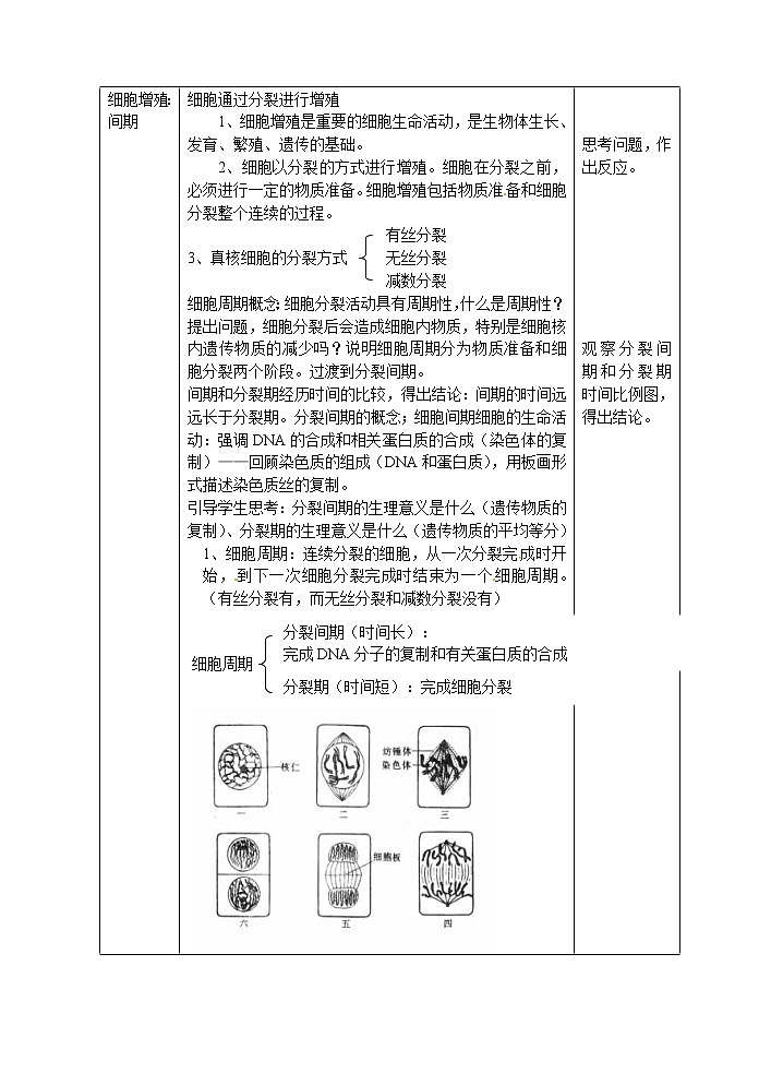 人教高中生物必修1教案： 6.1 细胞的增殖 103