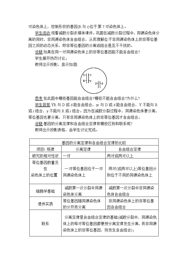 人教高中生物必修2教案：第1章　第二节 孟德尔豌豆杂交实验（二）第2课时02