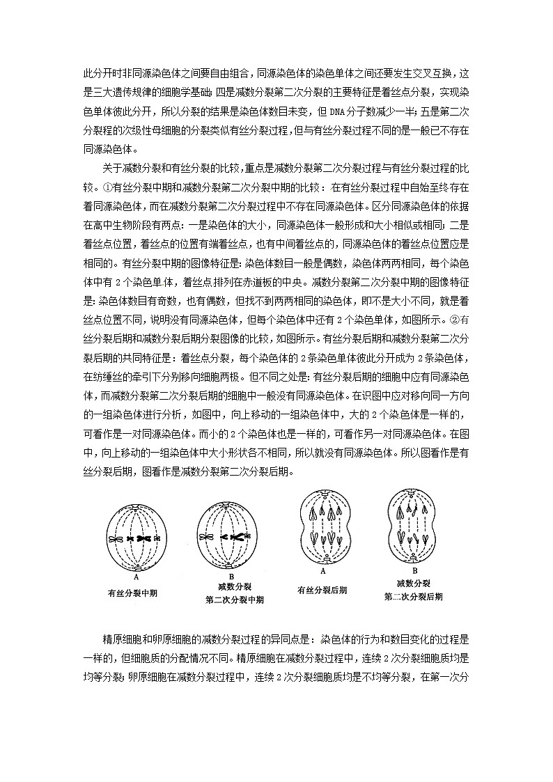 人教高中生物必修2教案：第二章　第一节 减数分裂和受精作用203