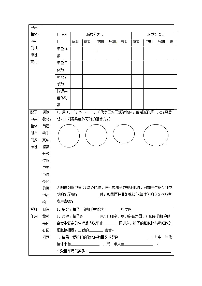 人教高中生物必修2教案：第二章　第一节 减数分裂和受精作用302