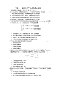 专题1　细胞的分子组成和基本结构 训练