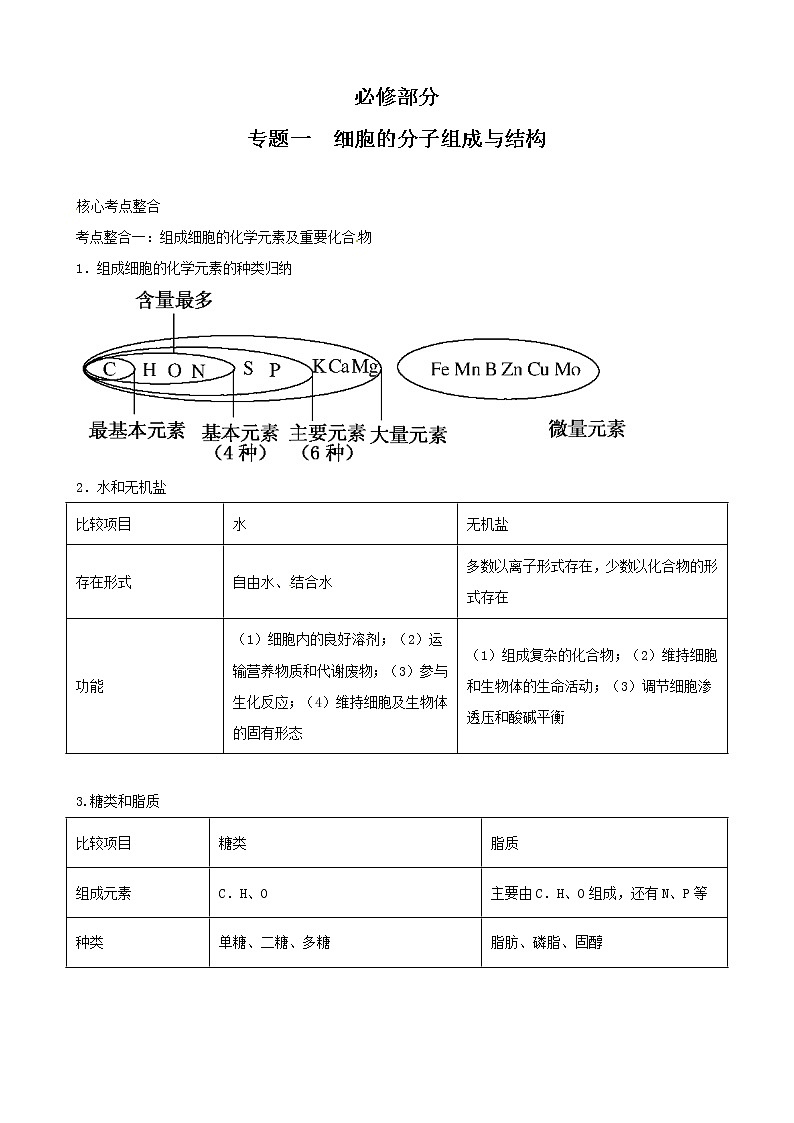 高三生物复习学案：专题1 细胞的分子组成与结构第1页