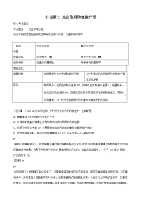 高三生物复习学案：专题2 细胞代谢2 光合作用和细胞呼吸