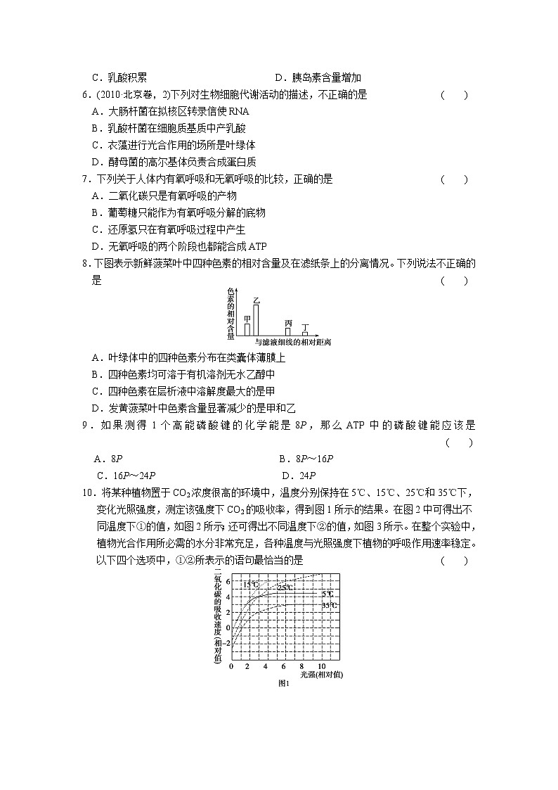 专题2　细胞的代谢 训练(1)第2页