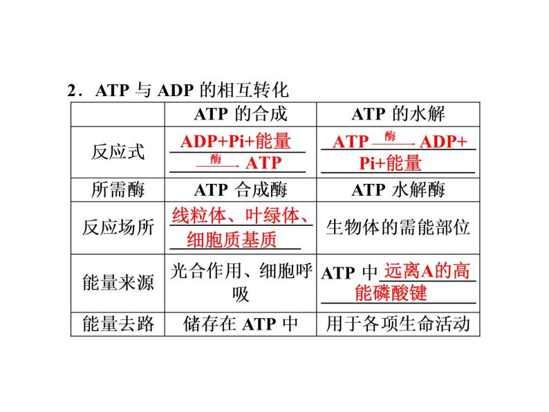 第一讲　酶与ATP 课件04