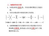 第一讲　细胞分裂和受精作用 课件