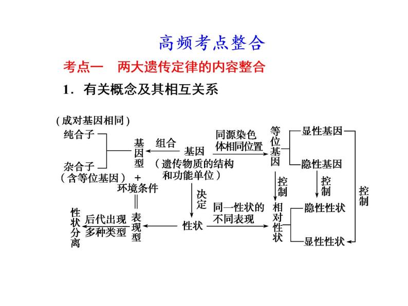 第二讲　遗传的基本规律 课件06