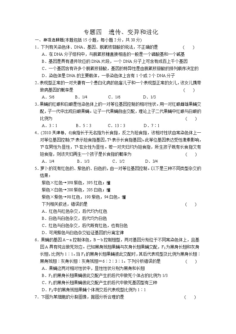 专题4　遗传、变异和进化 训练01