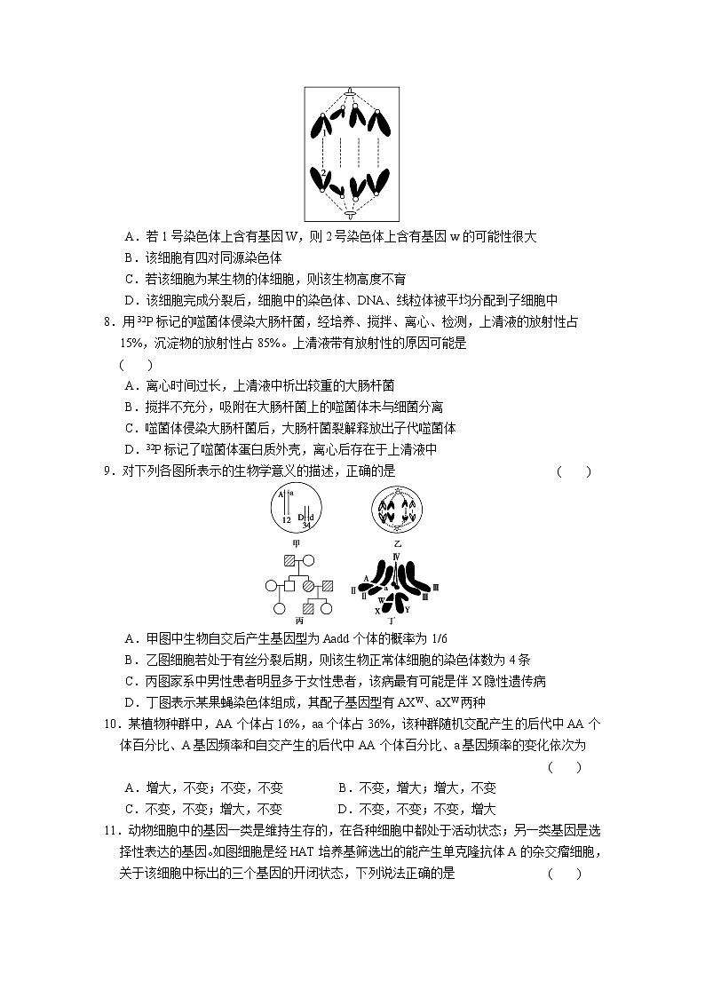 专题4　遗传、变异和进化 训练02