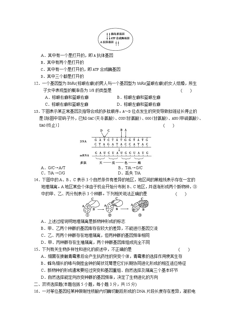 专题4　遗传、变异和进化 训练03
