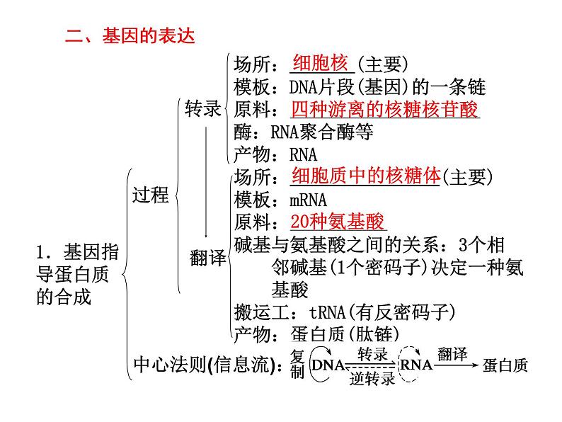 第一讲　遗传的物质基础(1)第3页