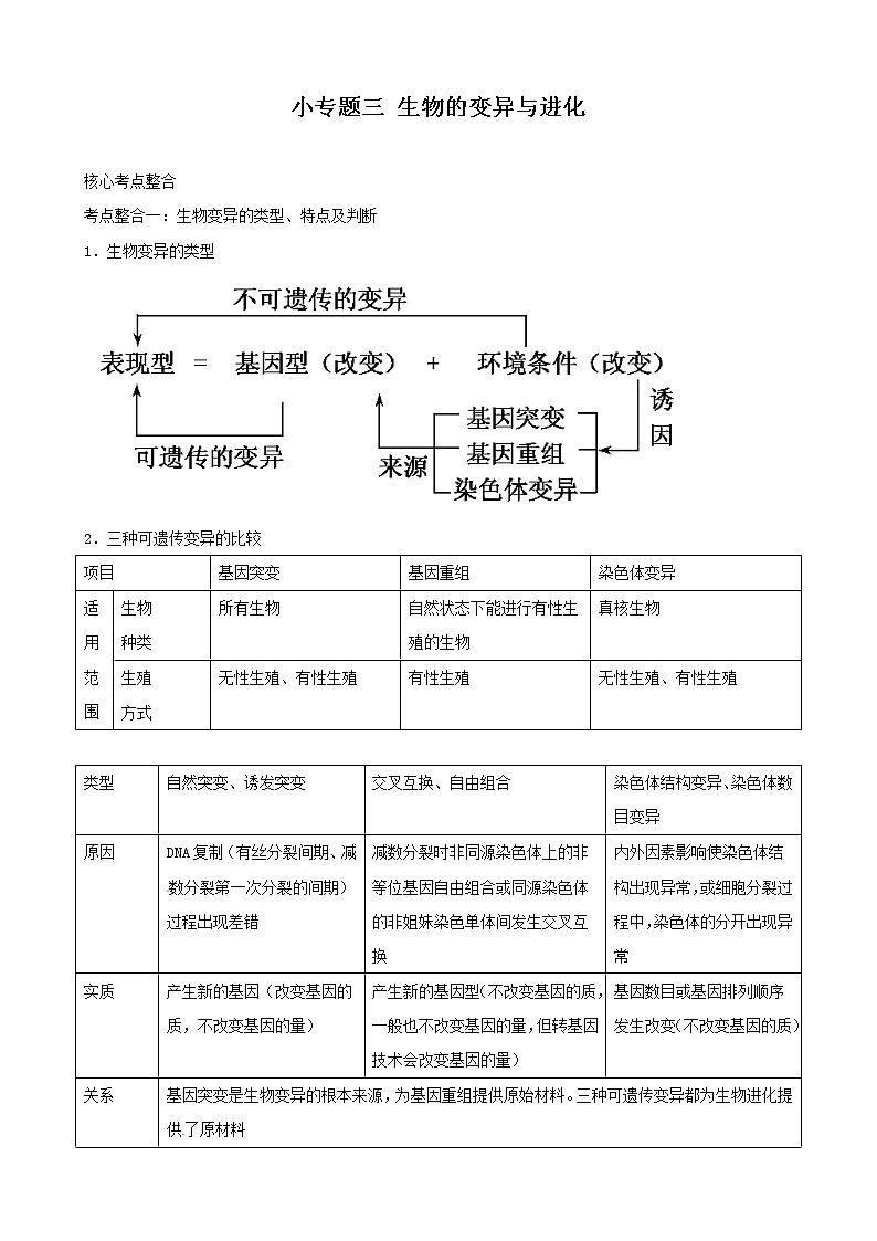 高三生物复习学案：专题4 遗传、变异与进化3 生物的变异与进化01