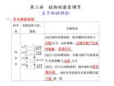 第三讲　植物的激素调节 课件