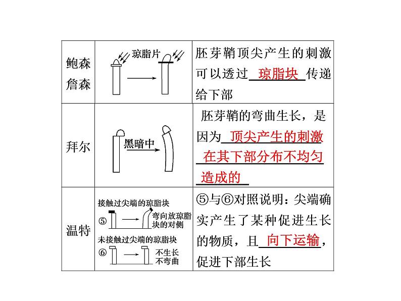 第三讲　植物的激素调节第2页