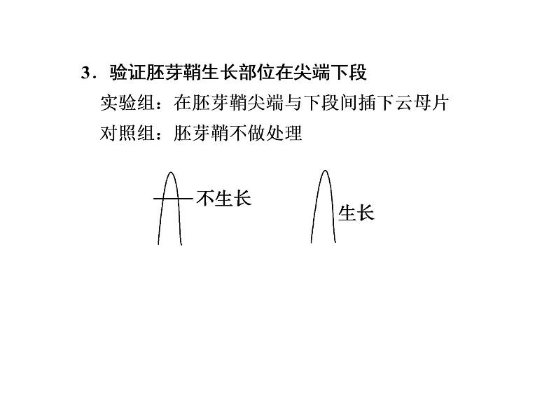 第三讲　植物的激素调节第6页