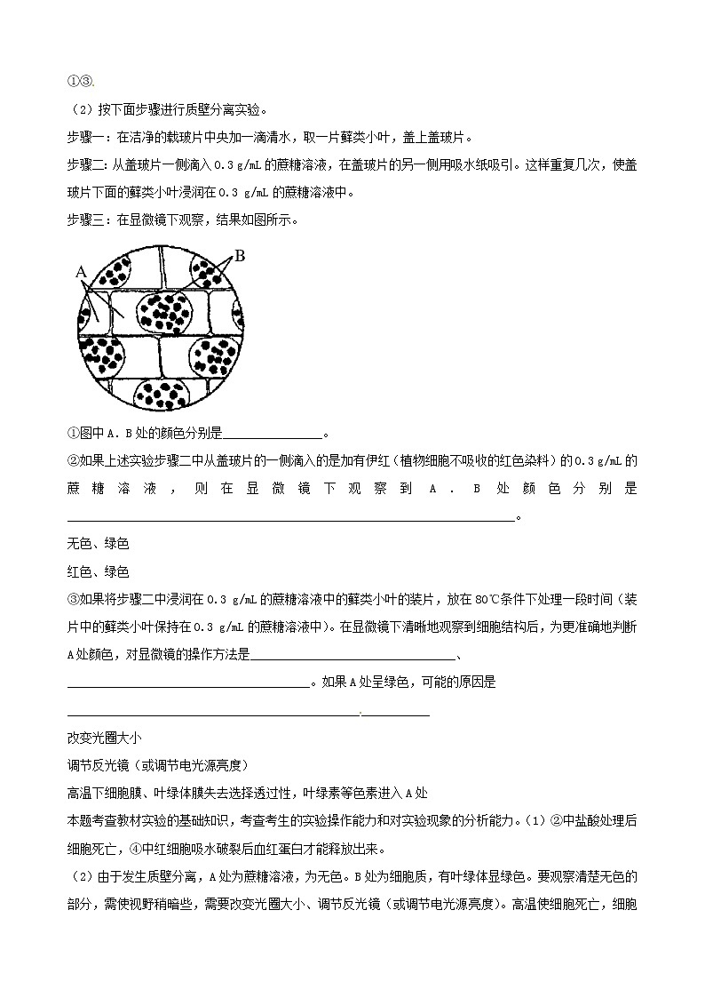 高三生物复习学案：专题7 实验与探究03