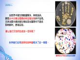 课件 1.2.3微生物的选择培养（新教材同步课件）