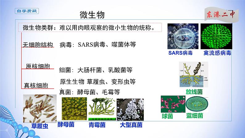 课件 1.2.1微生物的基本培养技术（一）03