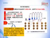 课件 1.2.4微生物的数量测定